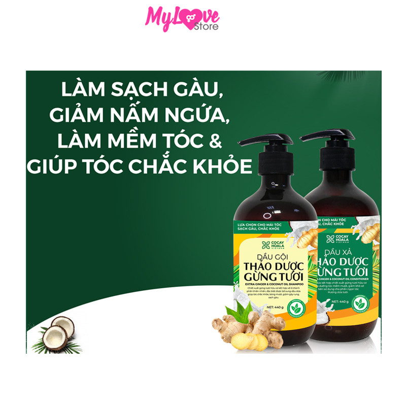 Bộ Dầu Gội Xả Gừng Dừa Hữu Cơ Cocayhoala Ngăn Rụng Tóc Kích Thích Mọc Tóc - Giảm Gàu - Ngừa Cảm Lạnh - Dưỡng Tóc Mềm Mượt Chắc Khỏe Chai 440g