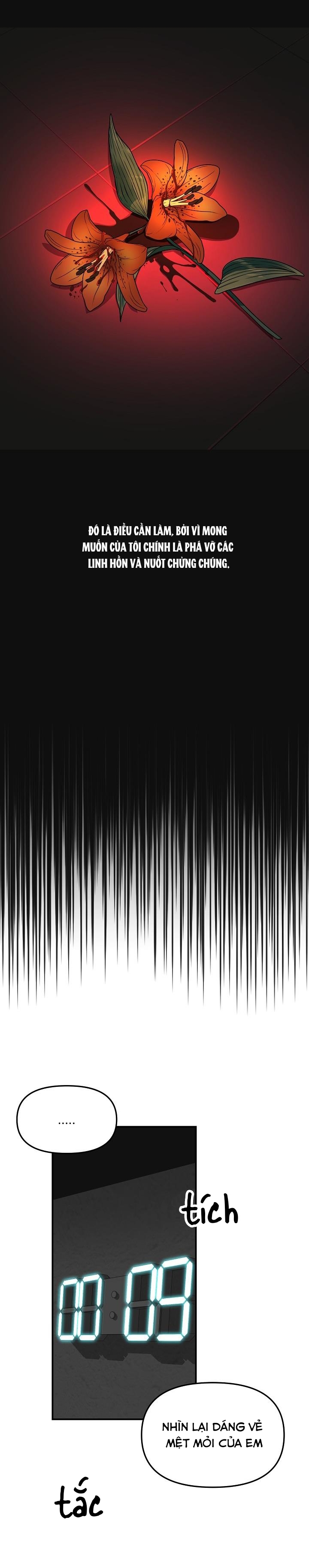 hoa ly hổ chapter 24 19