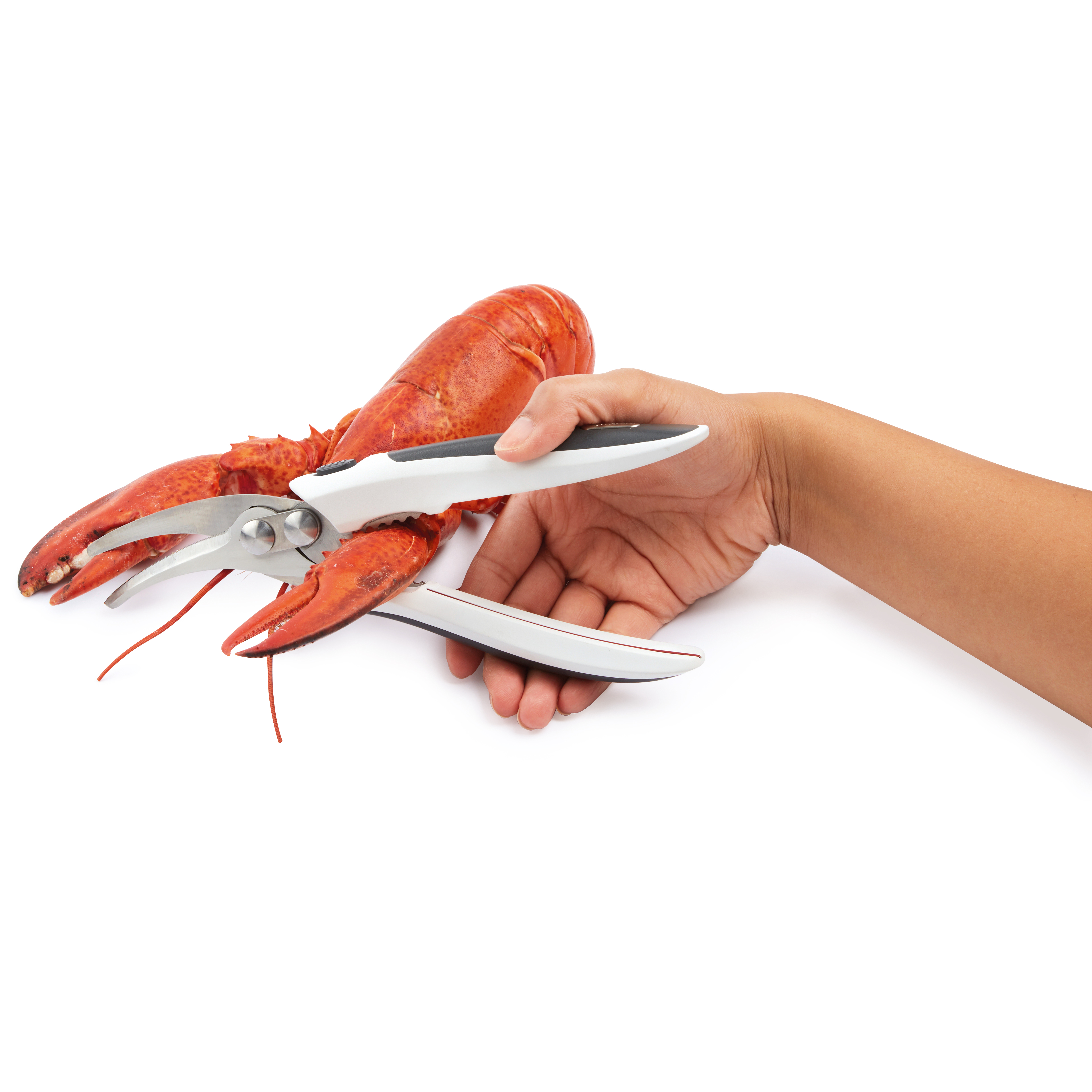 Kéo cắt vỏ sò Zyliss Shellfish Shears - E910039