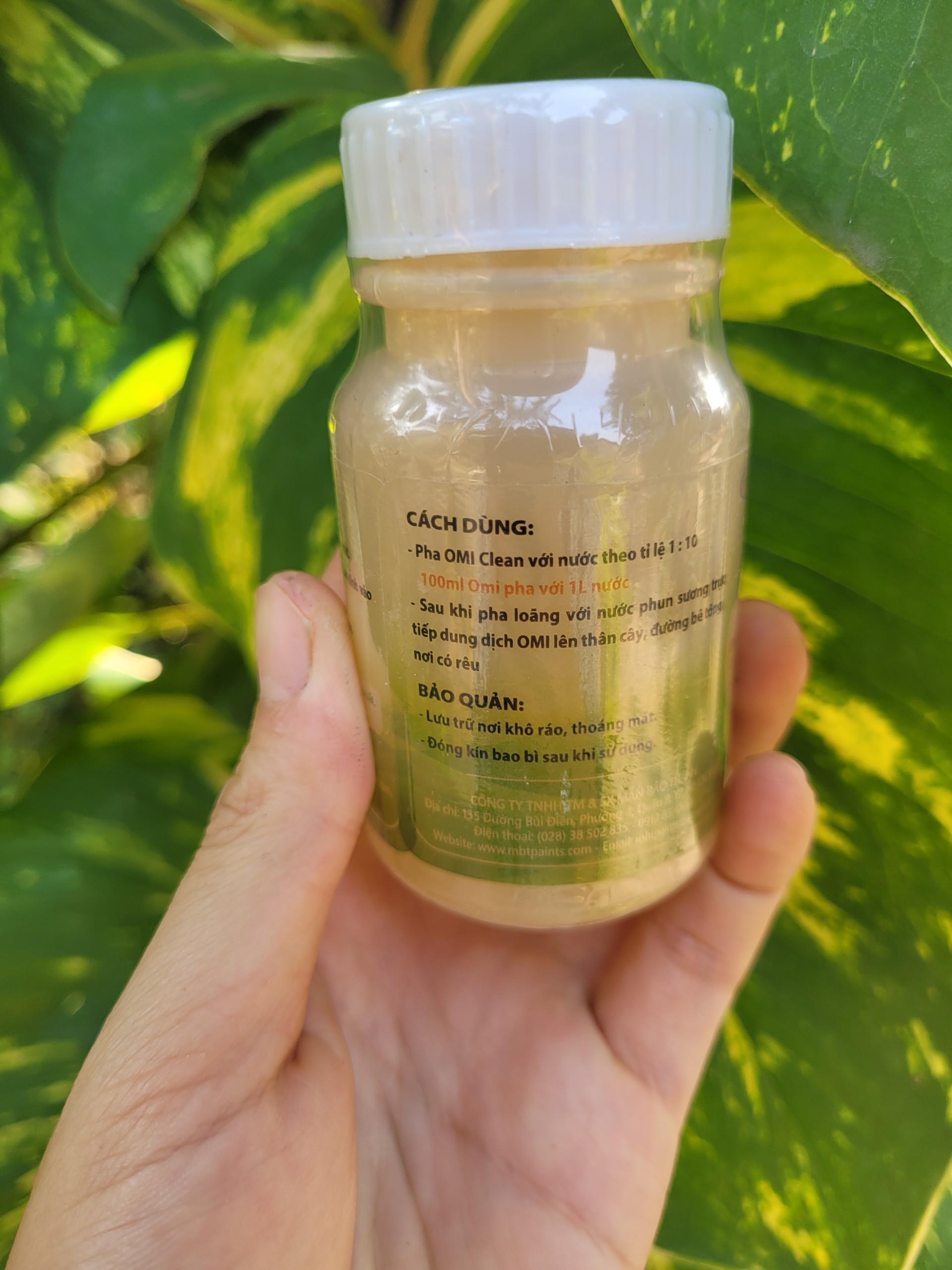 Tẩy rửa rong rêu trên thân cây, nền xi măng, bê tông OMI CLEAN hủ 100ml