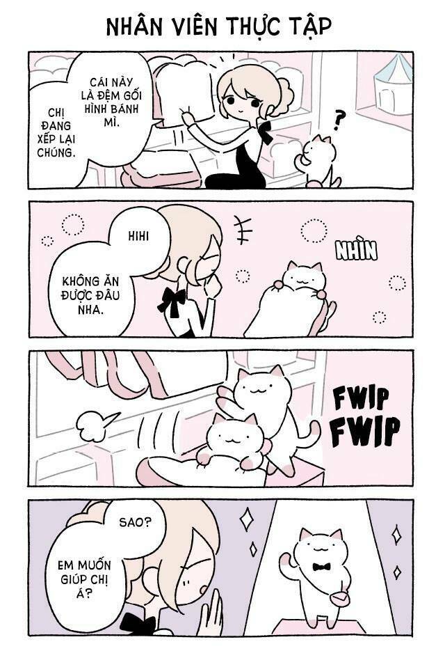 chú mèo kỳ diệu kyuu-chan chapter 166 2