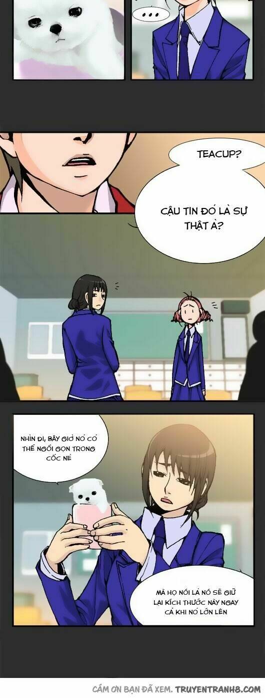 pet diary chapter 14 9