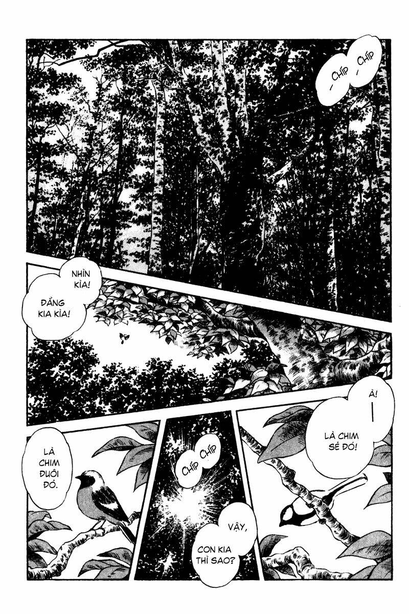 rough - ngọc thô chapter 33 3