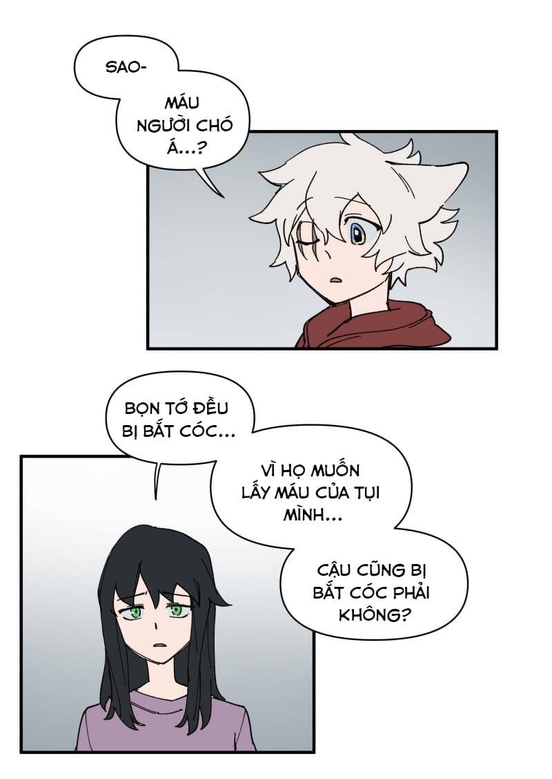 lumine - cội nguồn ánh sáng chapter 155 13