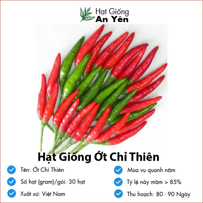 Hạt giống Ớt Chỉ Thiên thu hoạch sớm, dễ trồng, nảy mầm cao, sinh trưởng khoẻ
