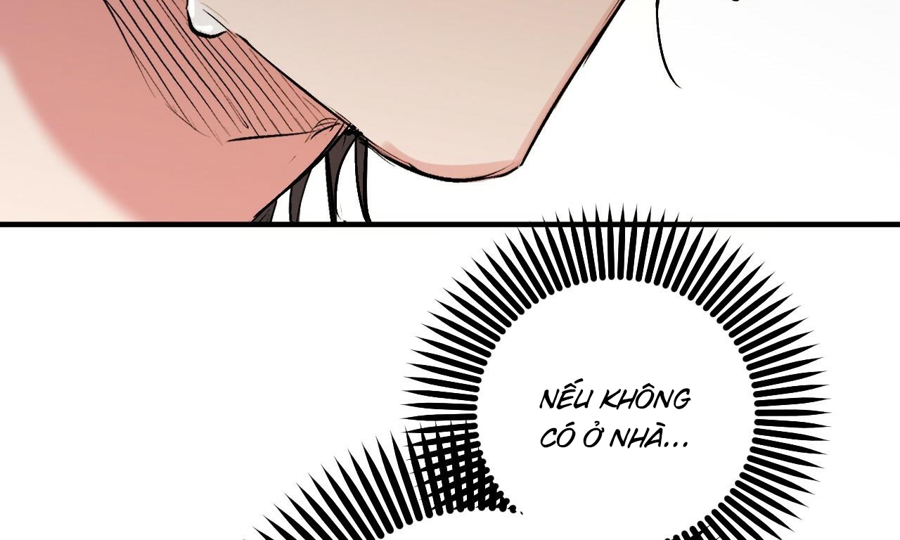 đàn thỏ của habibi chapter 50 10