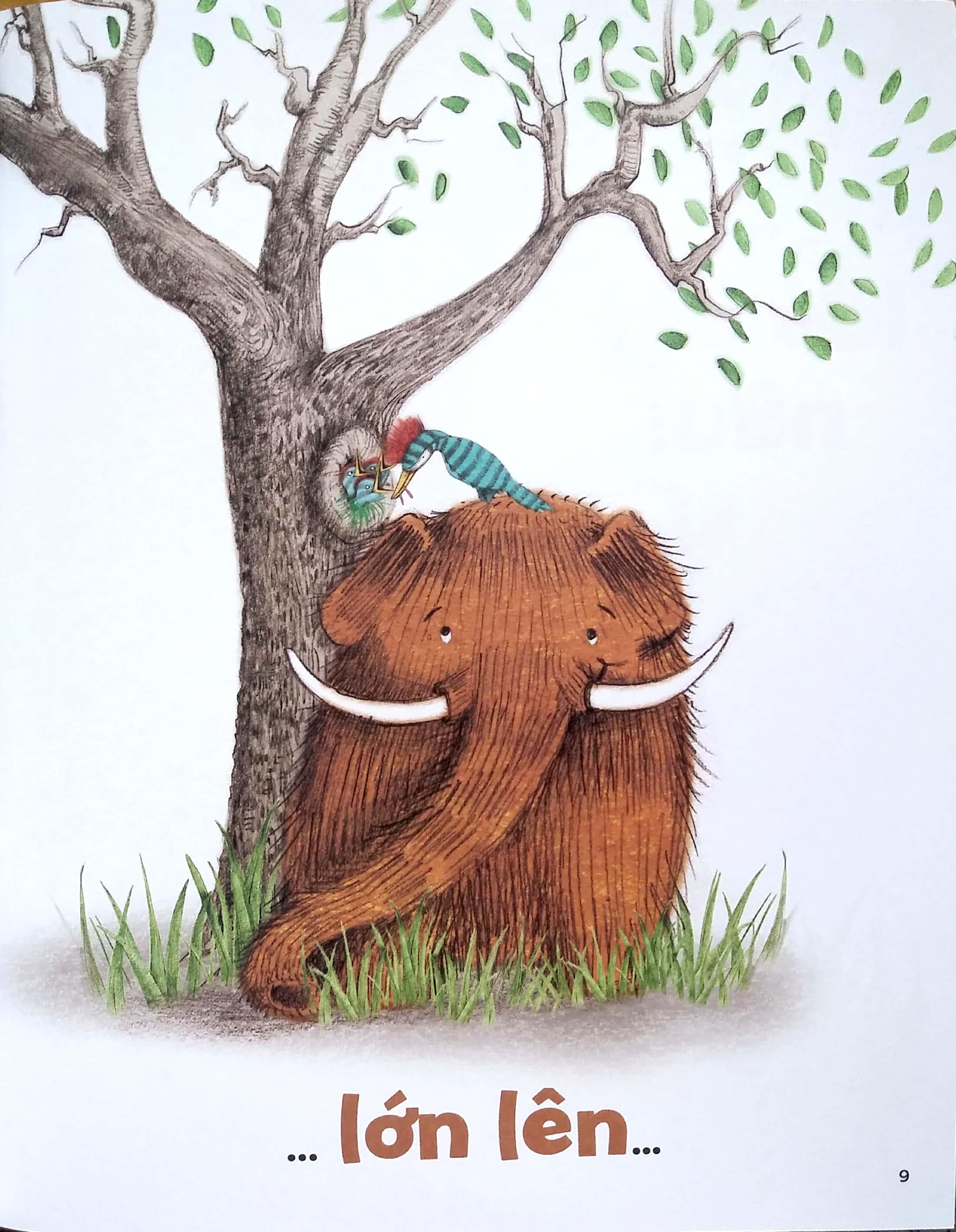 Sách Cậu Bé Oọc : Nhóc Trùm Hang