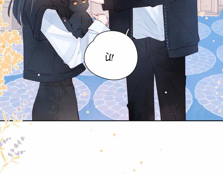 nỗi buồn của hoa cẩm tú cầu chapter 51 55