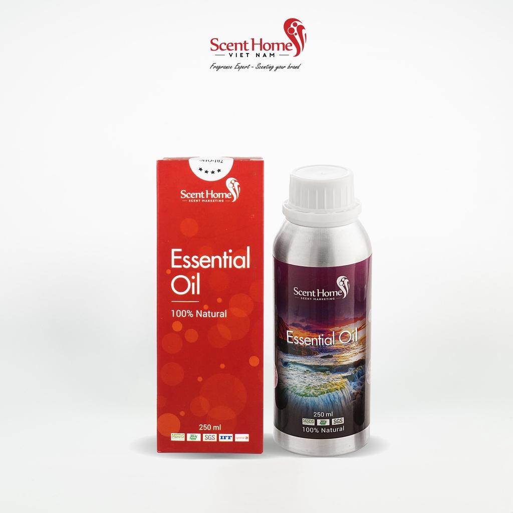 Tinh dầu Scent Homes - mùi hương