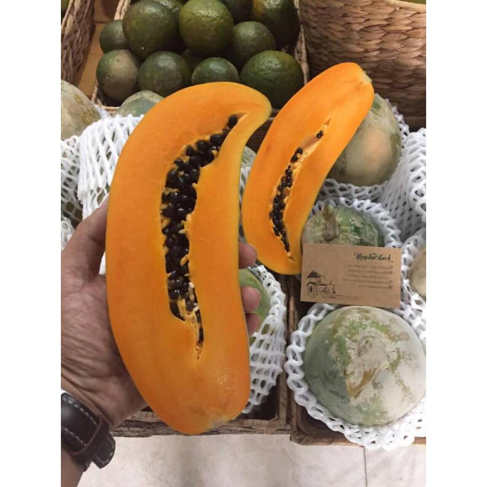 Hạt giống đu đủ lùn siêu ngọt Thái Lan