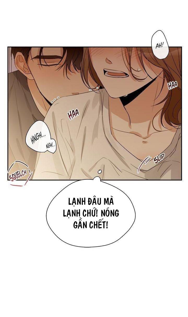 giấc mơ ngọt ngào chapter 20 8