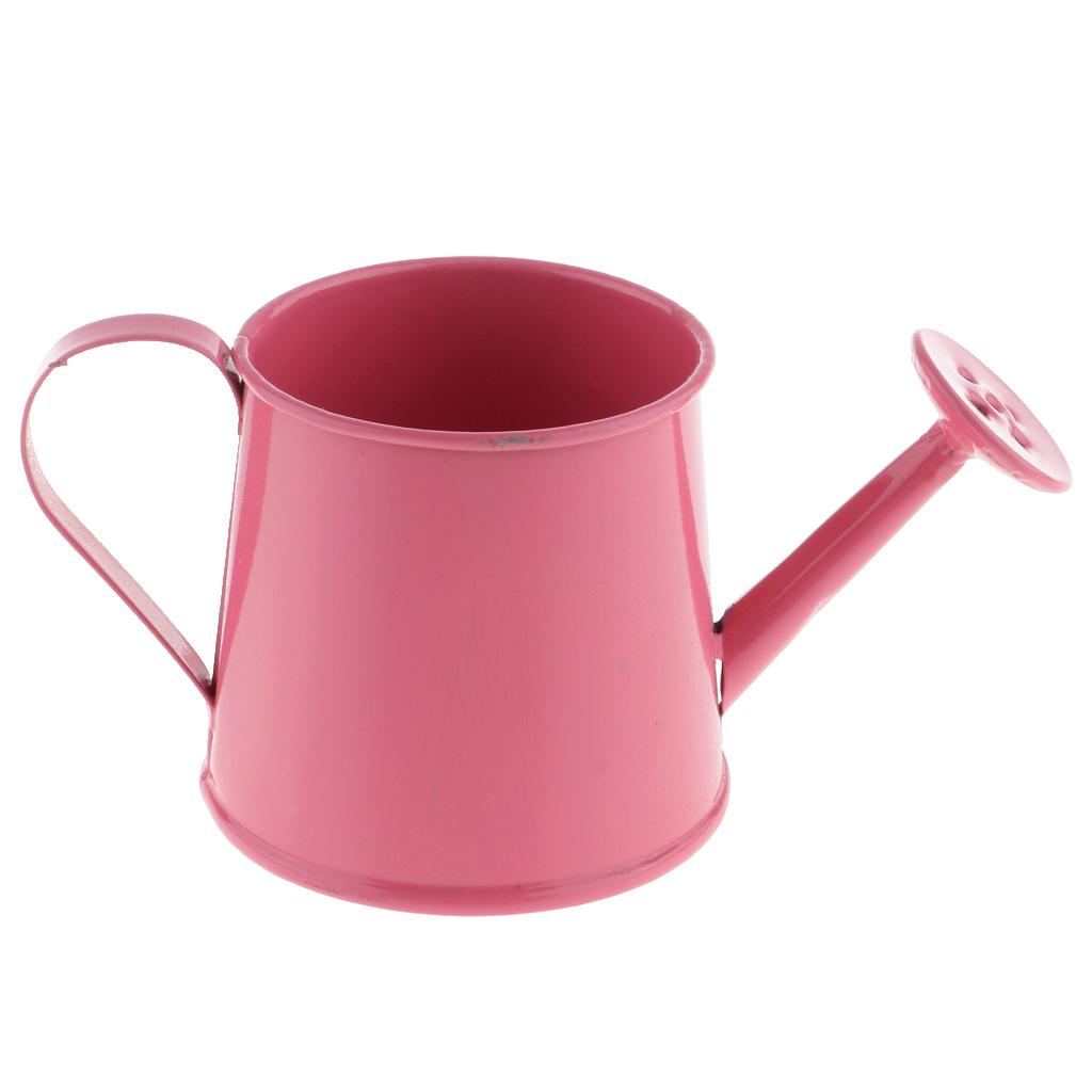 3pcs Pastoral Style Colorful Metal Tin Flower Pot Mini Bonsai Watering Can Pot