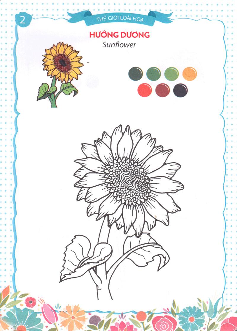 Thế Giới Loài Hoa - Sắc Màu Của Bé 6