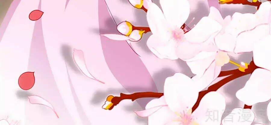 gian phi như thử đa kiều chapter 42 82