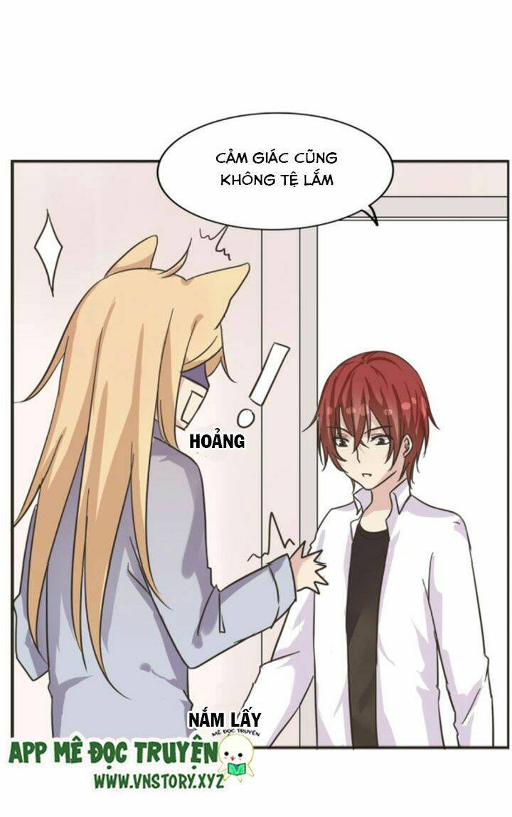 hồ tiên này không tin được chapter 4 4