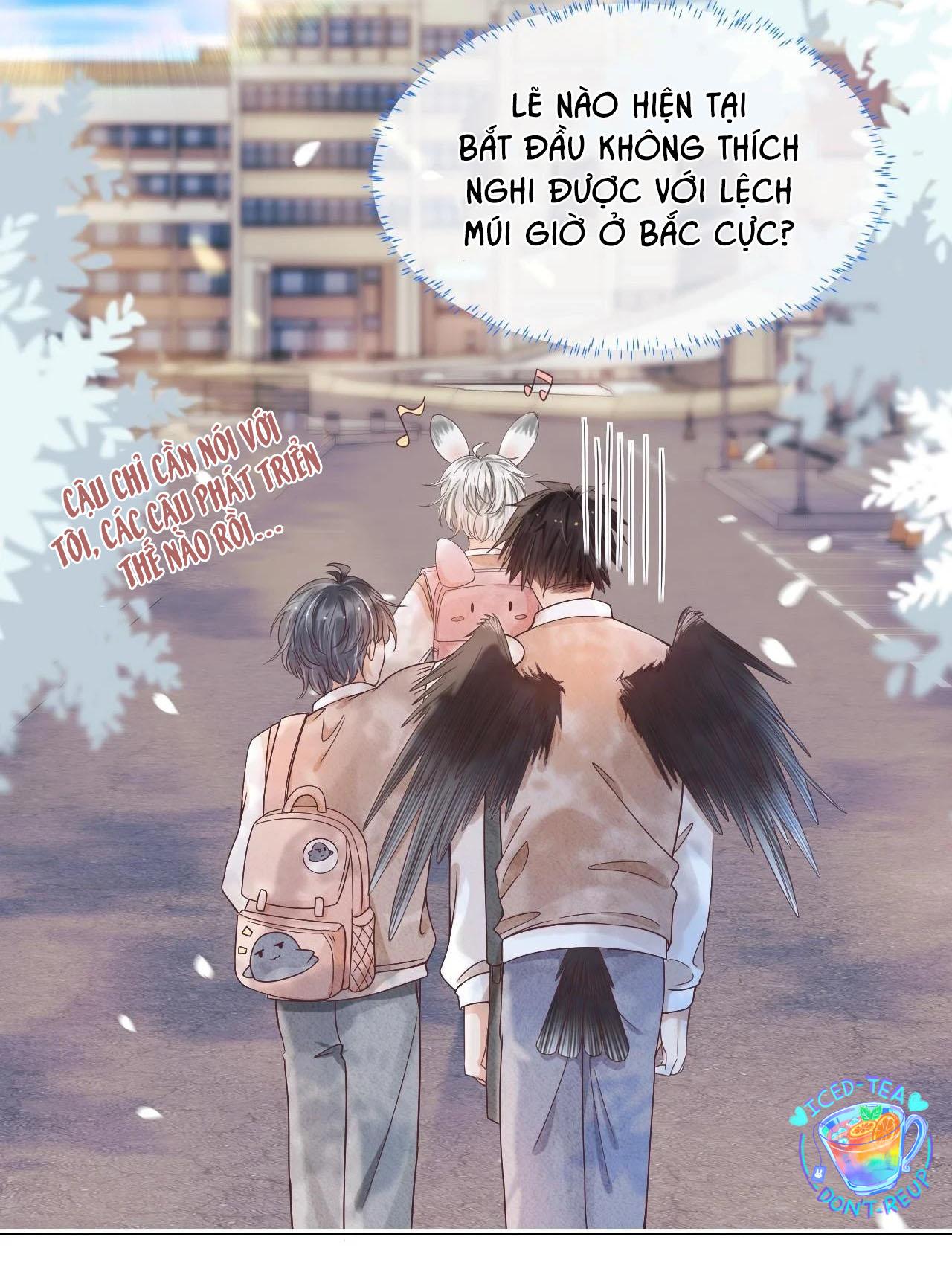 [ss2] một ngụm ăn cả thỏ con chapter 13 18