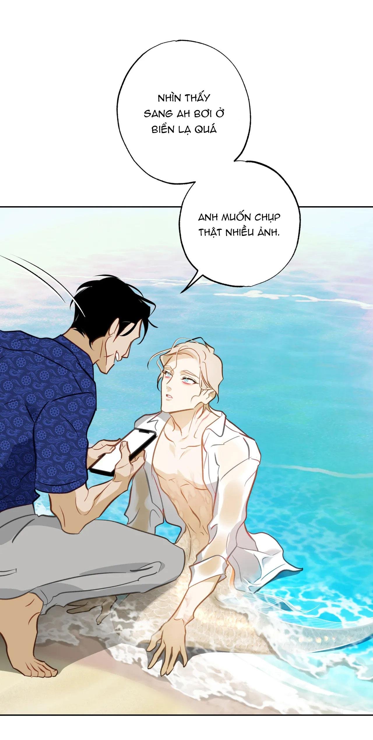 mỹ nhân ngư chapter 14 10