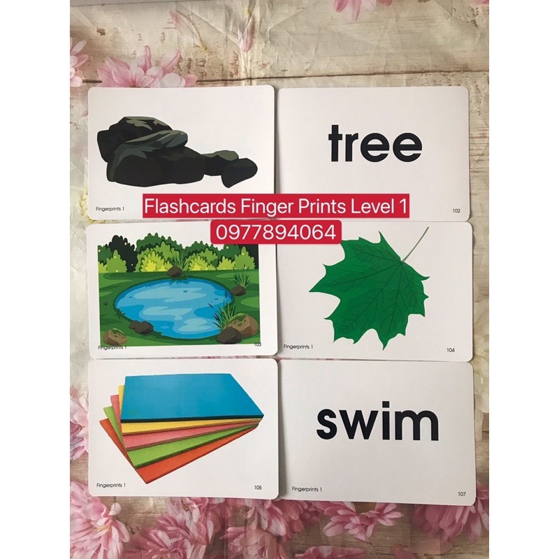 FLASHCARDS FINGER PRINT 1,2,3-khổ A5 ép plastic bền đẹp