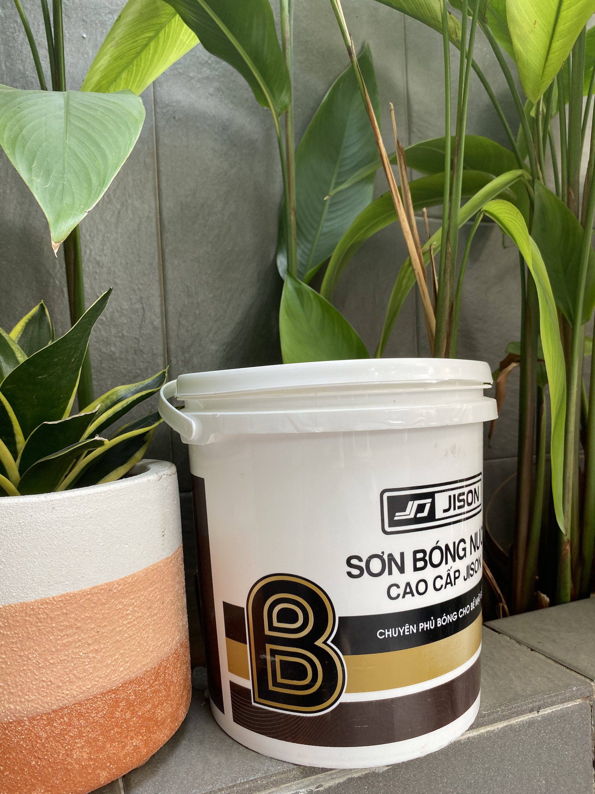 Sơn Bóng nước Gỗ Jison