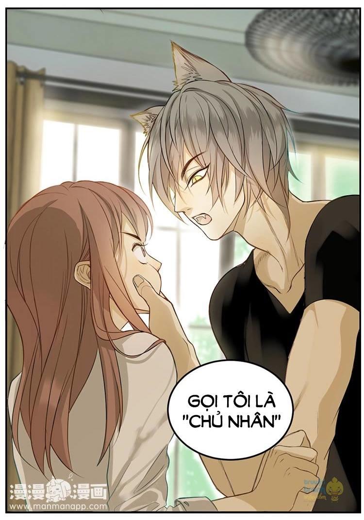 cứu mạng ! loài mèo thống trị thế giới rồi ! chapter 3 22