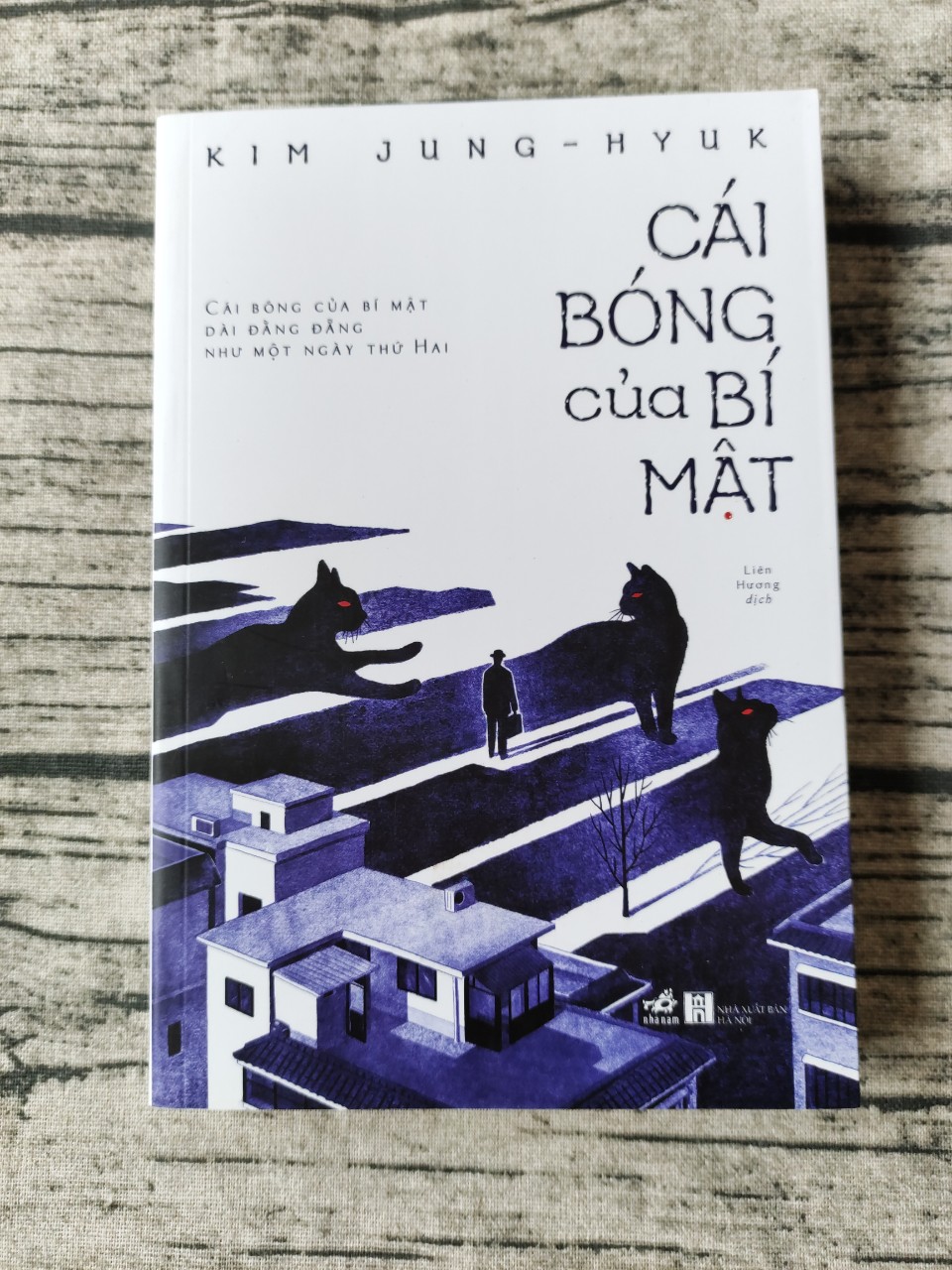 Cái Bóng Của Bí Mật
