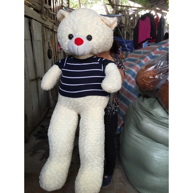 Gấu bông Teddy màu kem sữa siêu to 1m6