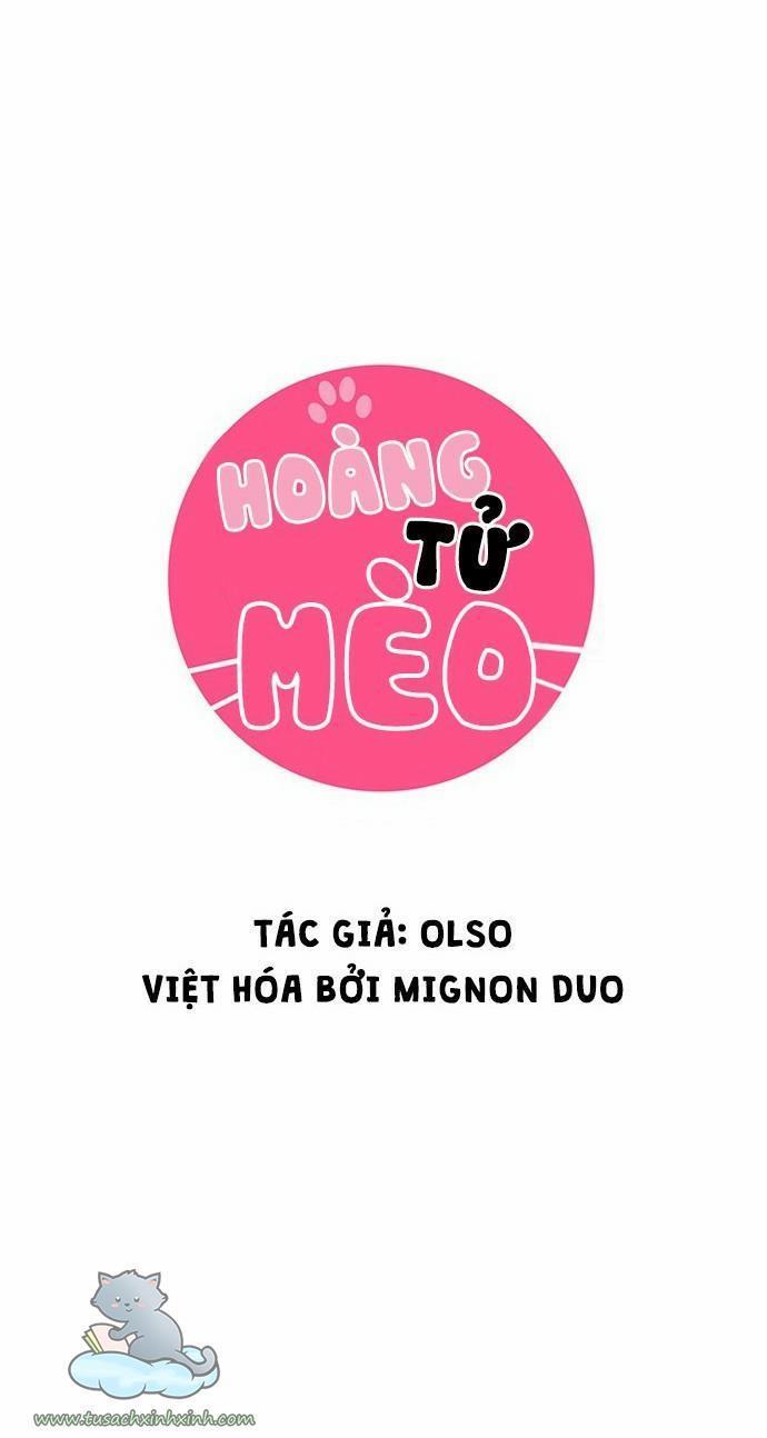 hoàng tử mèo chapter 23 5