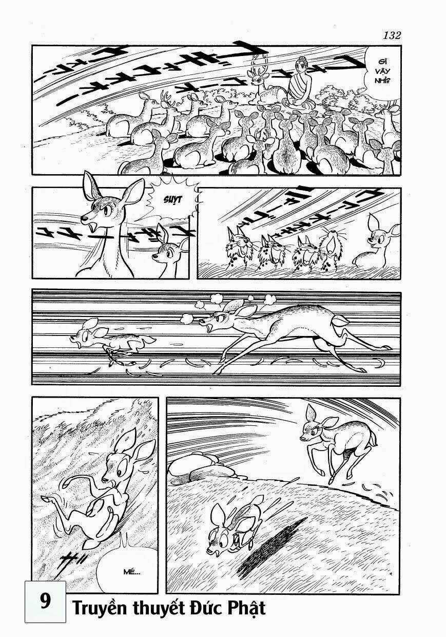 buddha - truyền thuyết đức phật chapter 41 34