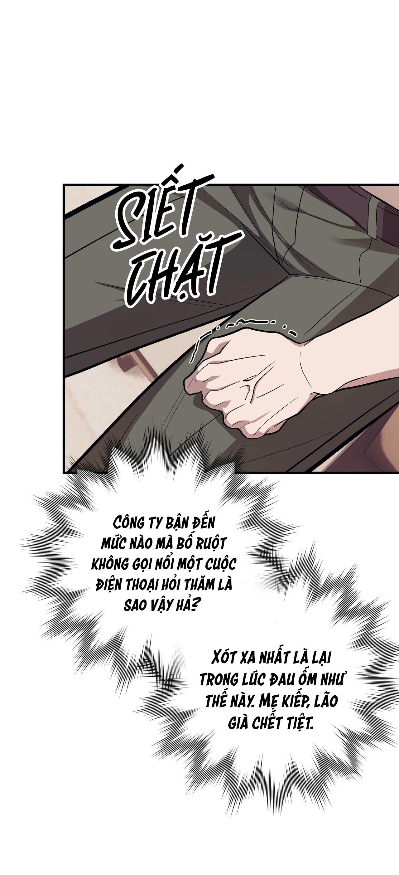 chàng dâu nhà họ kang chapter 55 56