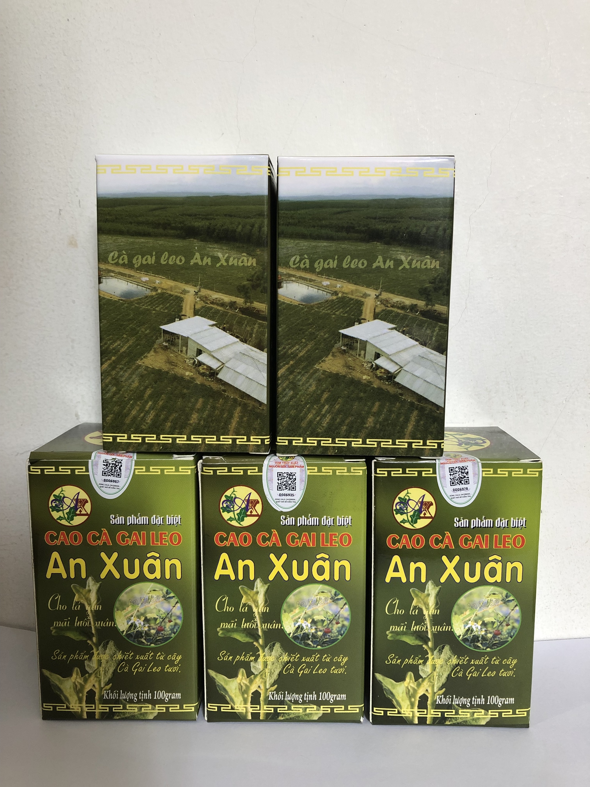 Cao Cà Gai Leo - Giải rượu, hạ men gan cấp tốc, combo 5