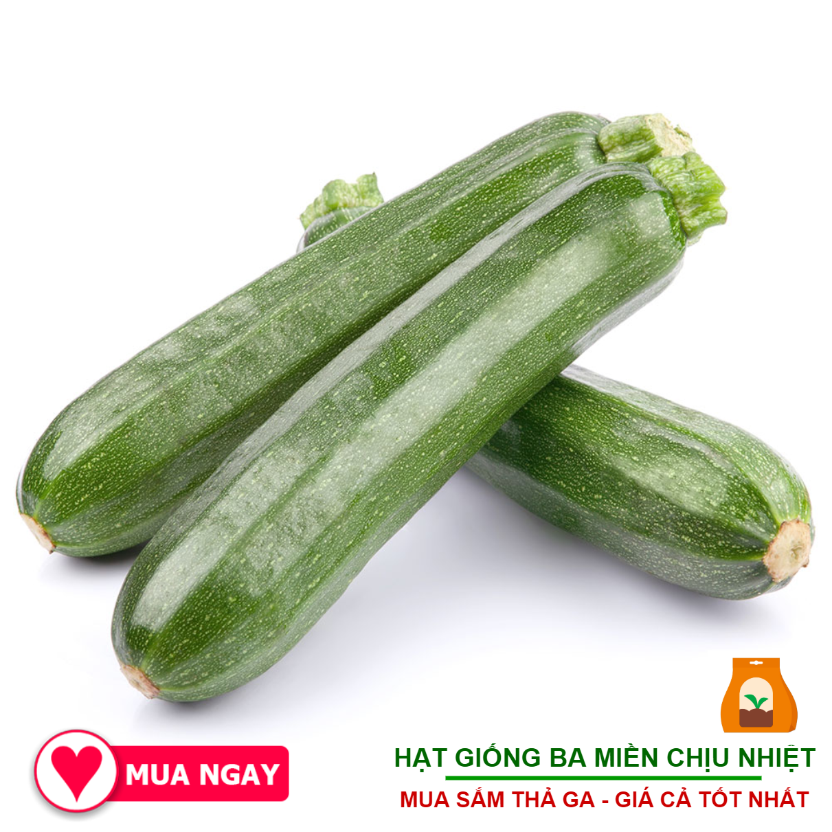 Hạt Giống Bí Ngòi  Xanh 2 Gram Hãng Sen Vàng