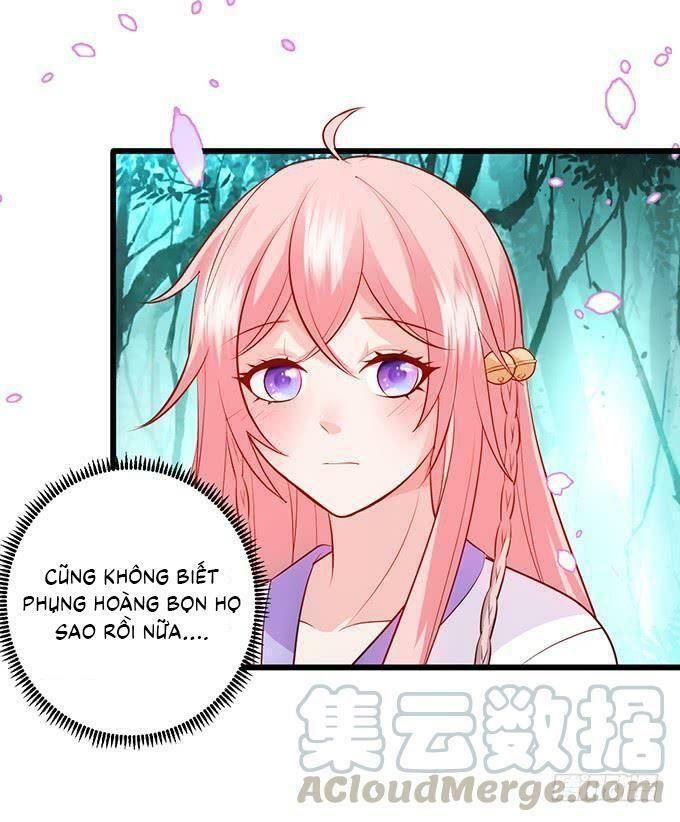 hồ tiên hung bạo chapter 125 24