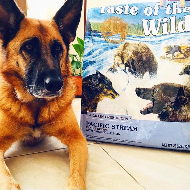 Thức Ăn Cho Chó Poodle Taste Of The Wild Bao 2kg - Pacific Stream Cannie Cá Hồi Xông Khói, Rau Củ Quả