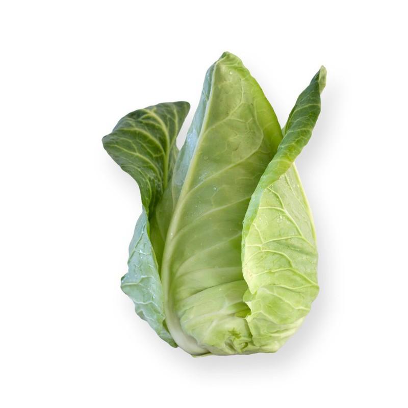 Hạt giống bắp cải trái tim Carambi F1 -0.2 gr