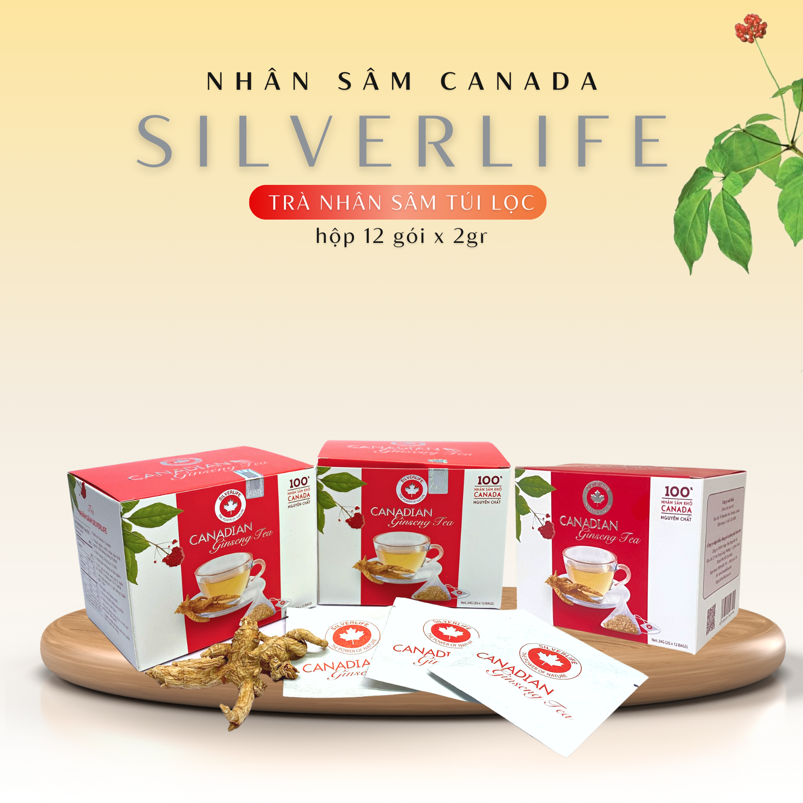 Trà nhân sâm Canada SilverLife hộp 12 gói 24g - 100% nhân sâm Canada tự nhiên nguyên chất - Giúp giải nhiệt, tăng cường sức khoẻ