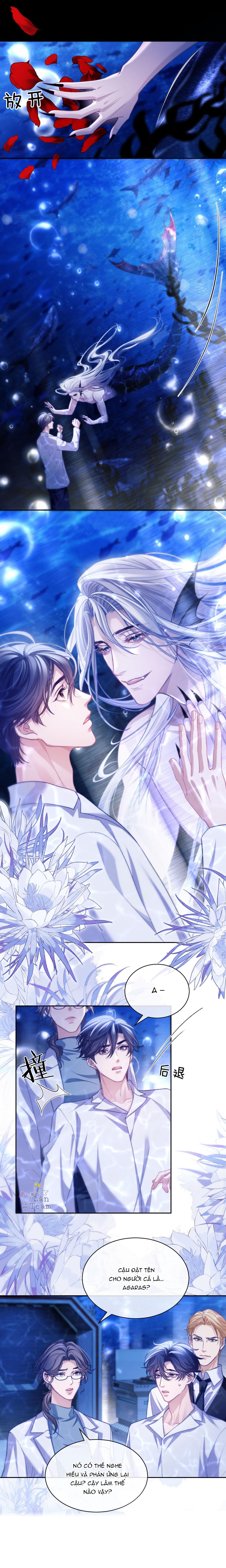 người cá desahrow chapter 12 11