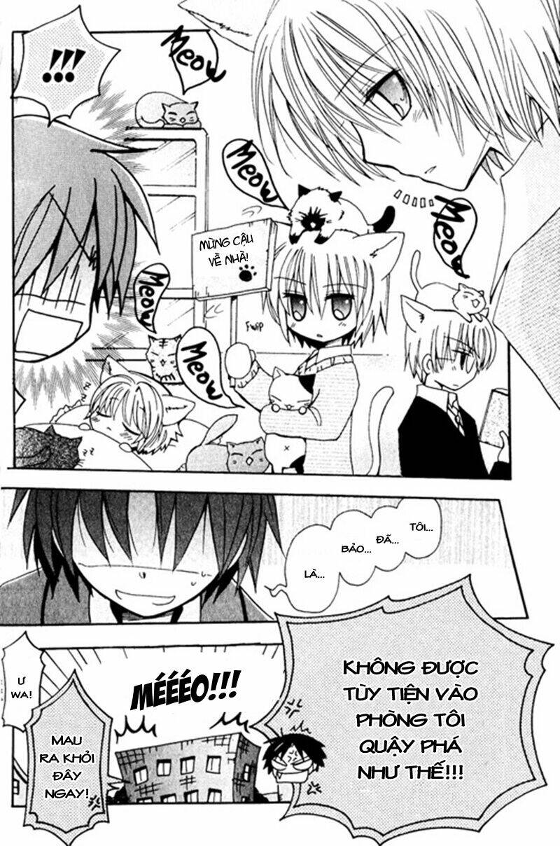 boku x neko? chapter 2 3