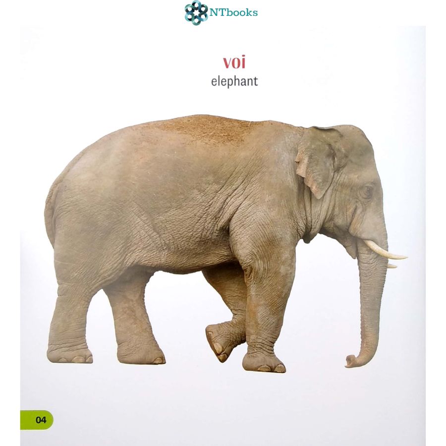 Sách 100 Từ Đầu Tiên Của Bé - Các Loài Vật