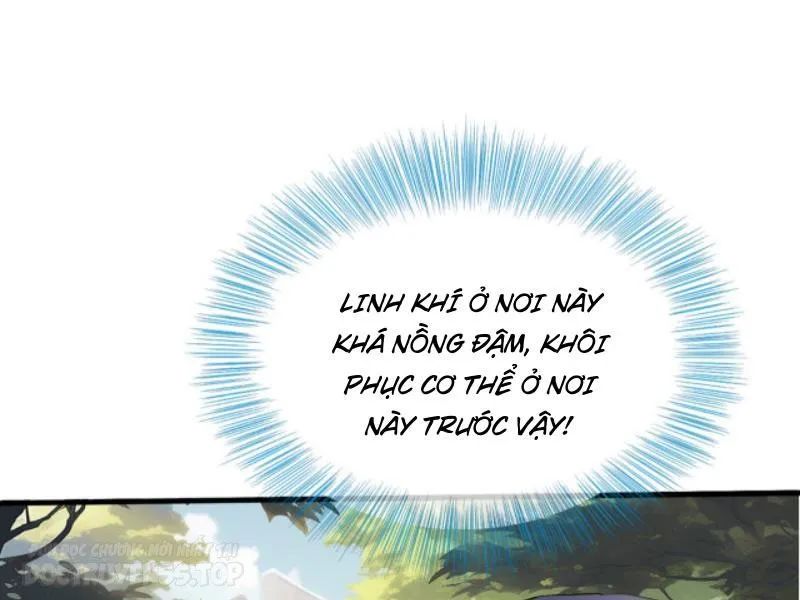 tiên tôn trùng sinh đi ở rể này có chút ầm mĩ chapter 2 35