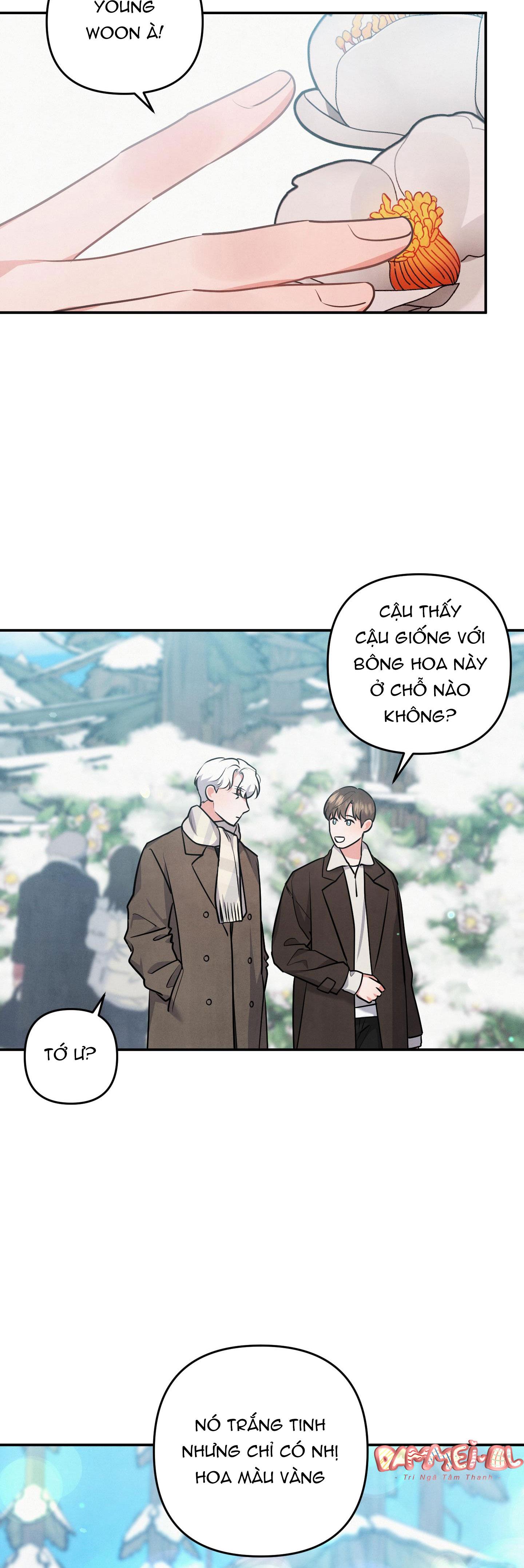 mối quan hệ ngu ngốc chapter 37 15