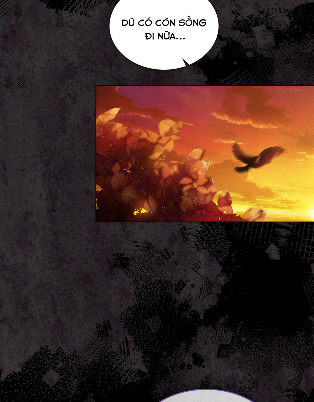 ánh sáng của bình minh chapter 8 31