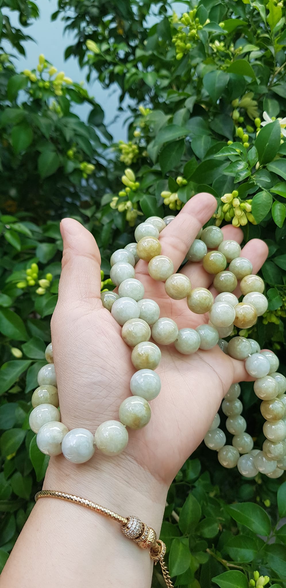 Vòng tay chuỗi nam nữ đá cẩm thạch tự nhiên trắng vàng bóng ngời Vòng size hạt 13mm Màu trắng vàng đất nhẹ bóng mượt thiệt đẹp ạ