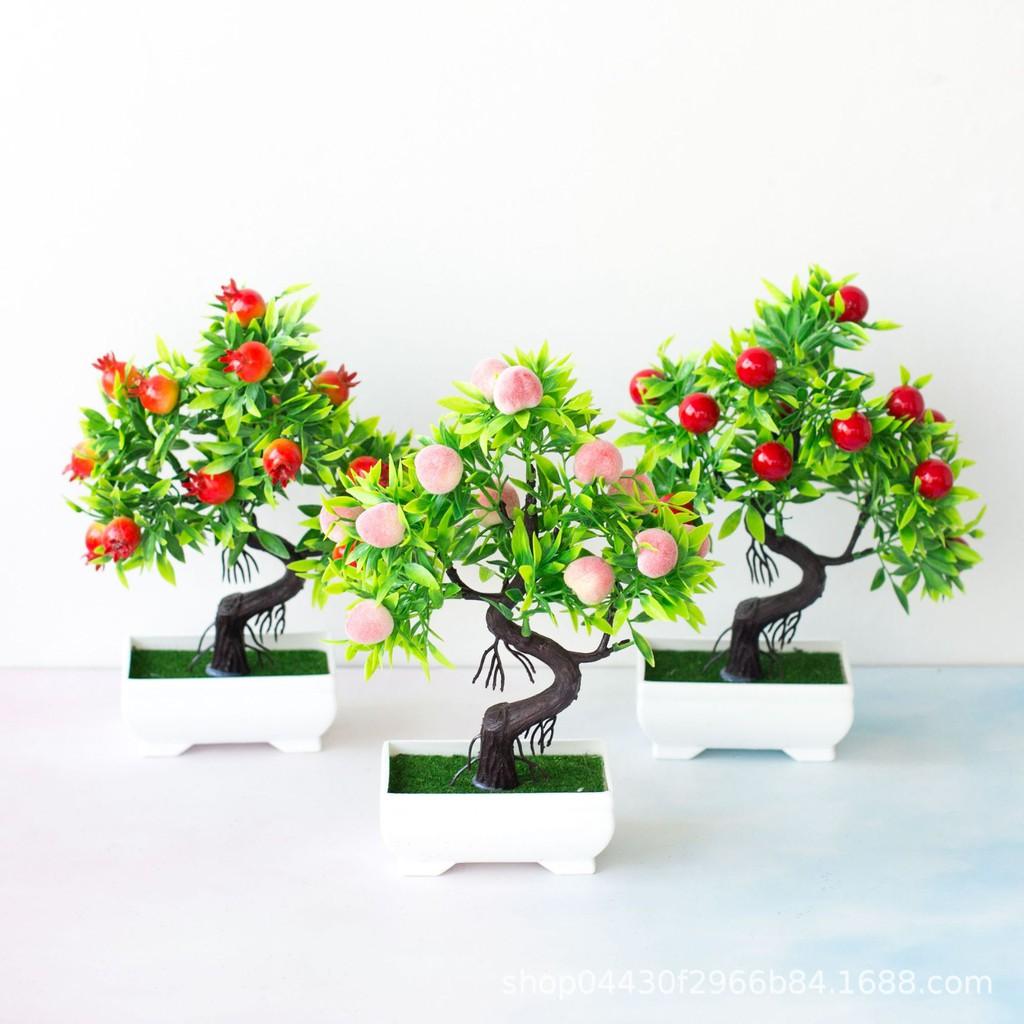 Cây Giả - Chậu Cây Lựu Bonsai để bàn-Cây trang trí nhà cửa văn phòng quán cafe