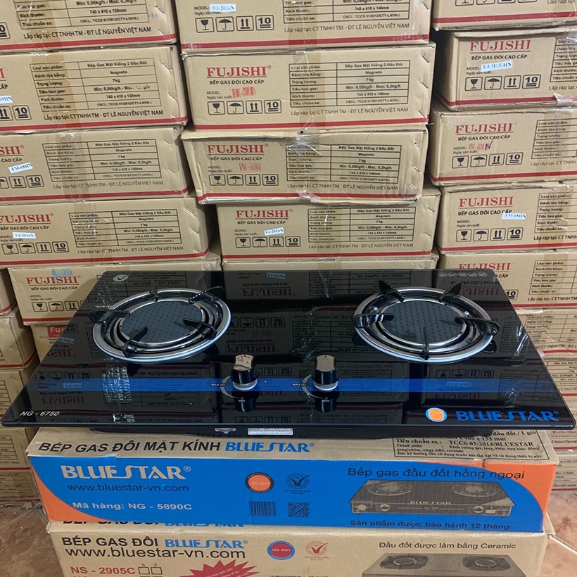 Bếp gas âm hồng ngoại Bluestar NG-6750C, 2 vòng lửa có đầu hâm - Hàng chính hãng