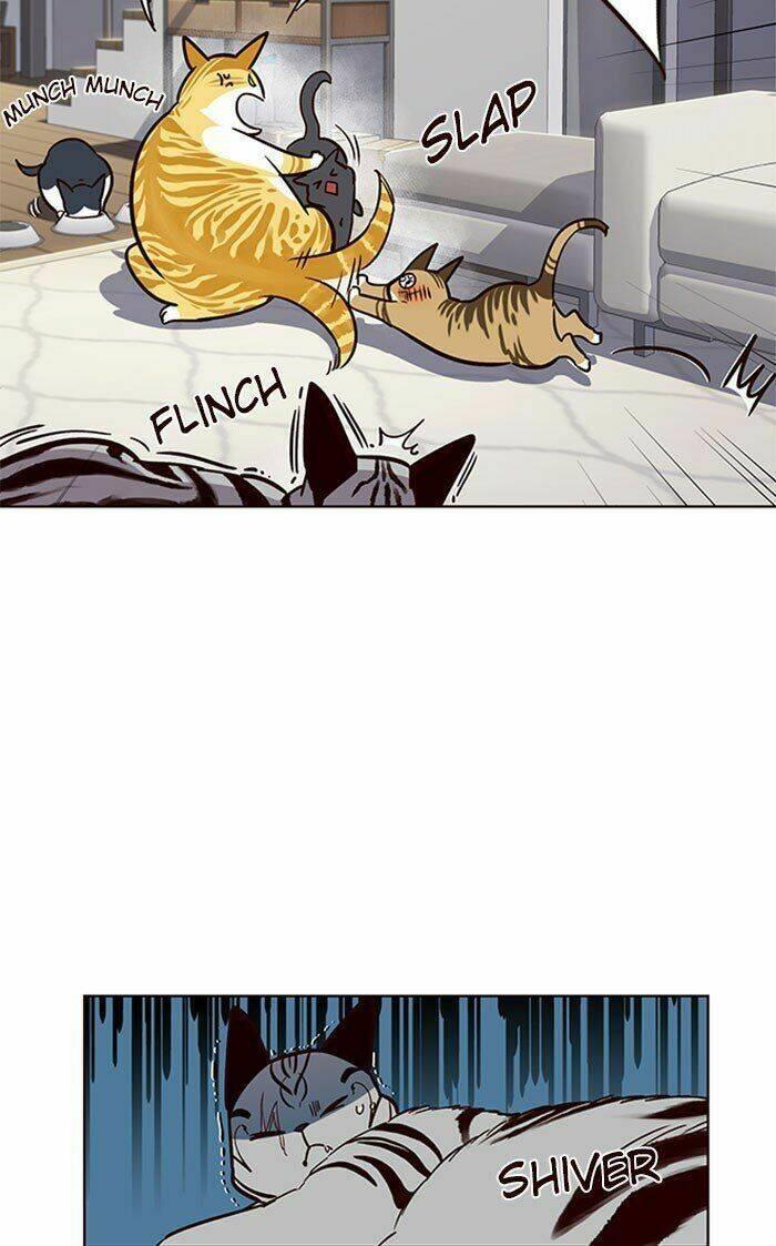 biến thân thành mèo chapter 37 52