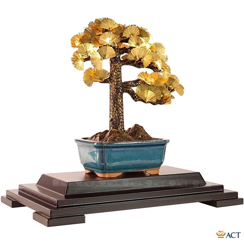 CHẬU CÂY TÙNG NGHÊNH KHÁCH