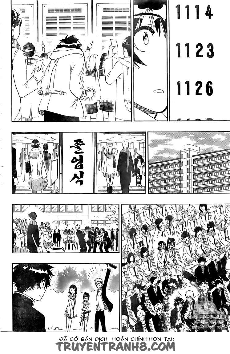 Nisekoi Chapter 228 - Trang 17