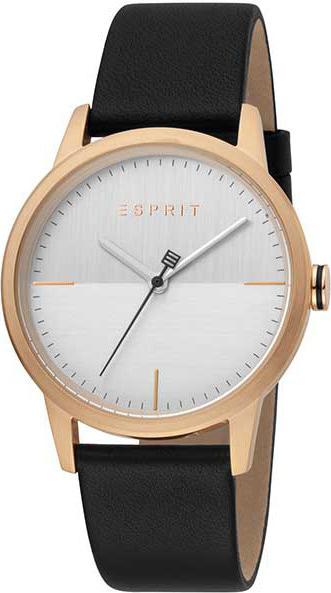 Đồng hồ đeo tay hiệu Esprit ES1G109L0055
