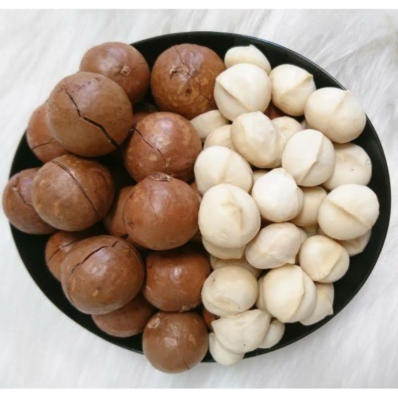 Hạt Macca Organic ĐăkLăk Size A Sấy Lạnh Giữ Trọn Vẹn Dinh Dưỡng Hạt