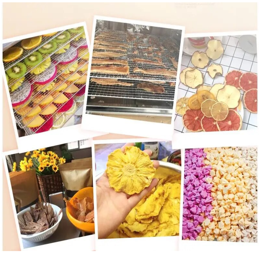 Máy sấy thực phẩm chuyên nghiệp dung tích lớn 59 lít, có tới 10 khay inox, Thương hiệu Mỹ Septree cao cấp ST-01 - HÀNG CHÍNH HÃNG, BẢO HÀNH 12 THÁNG